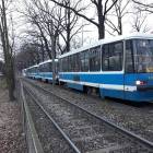 Fotka nr 1 z 14