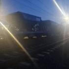 Fotka nr 5 z 11