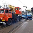 zdjęcie nr 7