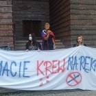 zdjęcie nr 10