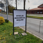 Fotka nr 3 z 5