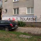 Fotka nr 2 z 5