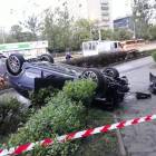 Fotka nr 5 z 7