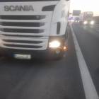Fotka nr 5 z 8