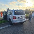 Fotka nr 2 z 4