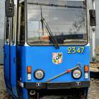 Fotka nr 5 z 9