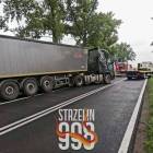 Fotka nr 2 z 11