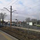 Fotka nr 5 z 10