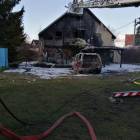 Fotka nr 2 z 13
