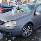 Fotka nr 5 z 7