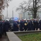zdjęcie nr 17