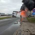 Fotka nr 2 z 19