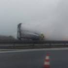 Fotka nr 1 z 12