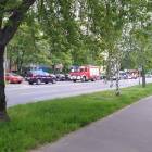 Fotka nr 2 z 3