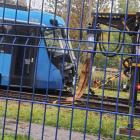 zdjęcie nr 19
