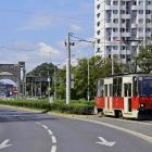 Fotka nr 2 z 6