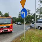 Fotka nr 1 z 2