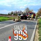zdjęcie nr 11