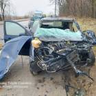 zdjęcie nr 14