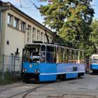 Fotka nr 2 z 7