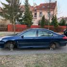 zdjęcie nr 7