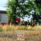 Fotka nr 4 z 12