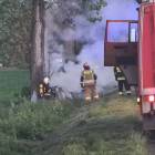 Fotka nr 2 z 15