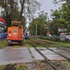 Fotka nr 4 z 22