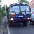 Fotka nr 4 z 6