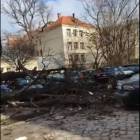 zdjęcie nr 22