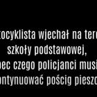 Fotka nr 0 z 3