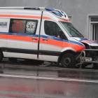 Fotka nr 2 z 11
