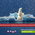 Fotka nr 0 z 2