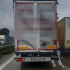 Fotka nr 5 z 6