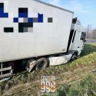 Fotka nr 4 z 6