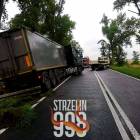 zdjęcie nr 9