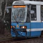 Fotka nr 5 z 12