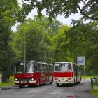 Fotka nr 1 z 8