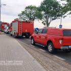 Fotka nr 2 z 11