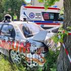 Fotka nr 2 z 5