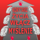 Fotka nr 1 z 2