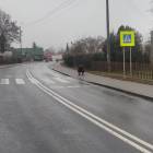 Fotka nr 1 z 4