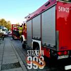 Fotka nr 1 z 8