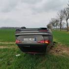 Fotka nr 4 z 5