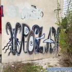 Fotka nr 4 z 5