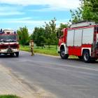 zdjęcie nr 17