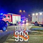 Fotka nr 2 z 10