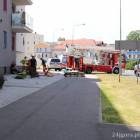 zdjęcie nr 13