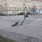 Fotka nr 1 z 8