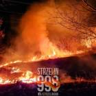 Strzelin ul. Szybalskiego - fot. Strzelin998